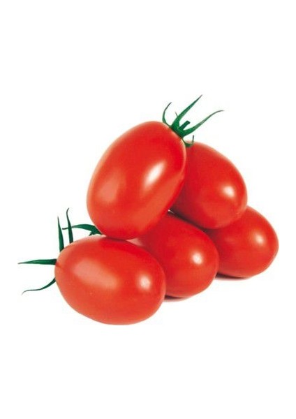 Nadir Zeytin Domates Tohumu Ekim Seti 10 Tohum Zeytin Domatesi Tohumu Saksı Toprak Kombin