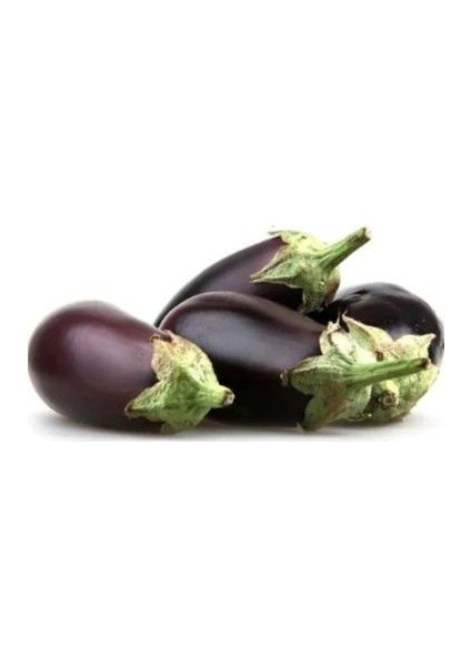 Meşhur Kurutmalık Dolmalık Antep Patlıcanı Tohumu Ekim Seti Patlıcan Tohumu Saksı Toprak Kombin