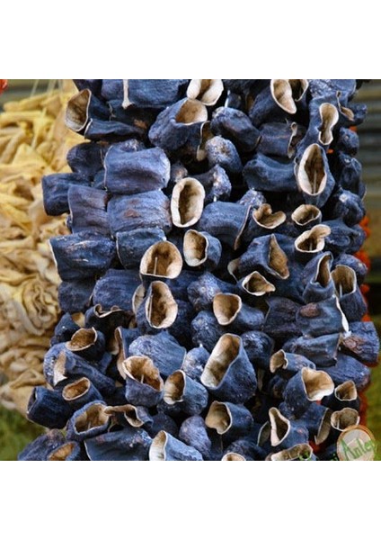 Meşhur Kurutmalık Dolmalık Antep Patlıcanı Tohumu Ekim Seti Patlıcan Tohumu Saksı Toprak Kombin modelleri