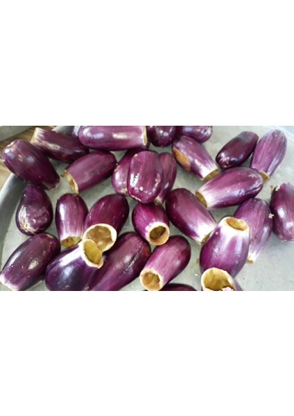 Meşhur Kurutmalık Dolmalık Antep Patlıcanı Tohumu Ekim Seti Patlıcan Tohumu Saksı Toprak Kombin fırsatları