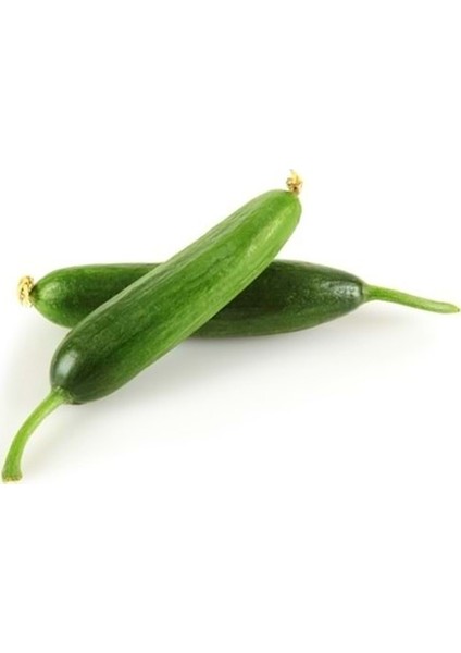 100 Adet Çengelköy Salatalık Tohumu Çengelköy Hıyar Tohumu