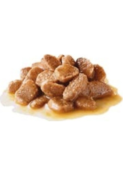 Royal Canın Mını Adult Küçük Irk Yetişkin Köpek Yaş Maması 85GR X12