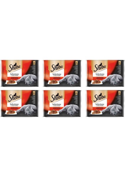 Pouch Karışık Çeşit Yetişkin Kedi Konservesi 85 gr (4'lü) (6 Adet)