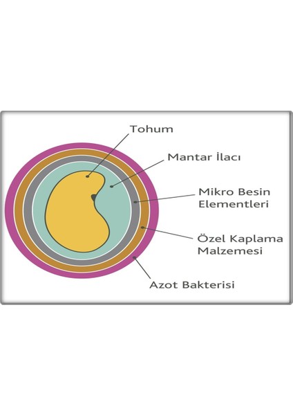 Yonca Tohumu (1-2-3-5-10 Kg)Sunter Kaplamalı-Sertifikalı