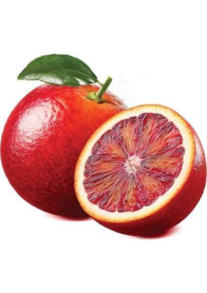 Içi Dışı Kırmızı Blood Orange Portakal Fidanı (Sınırlı Stok)