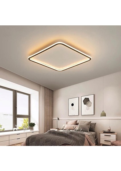 Modern Dekoratif Sıva Üstü Içe / Dışa Işıklı Avize 6500K Beyaz Işık fiyatları