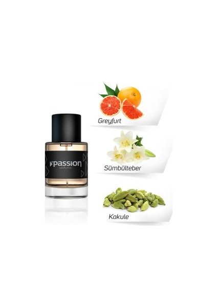 Blanche Erkek Parfümü 55 ML - EL17