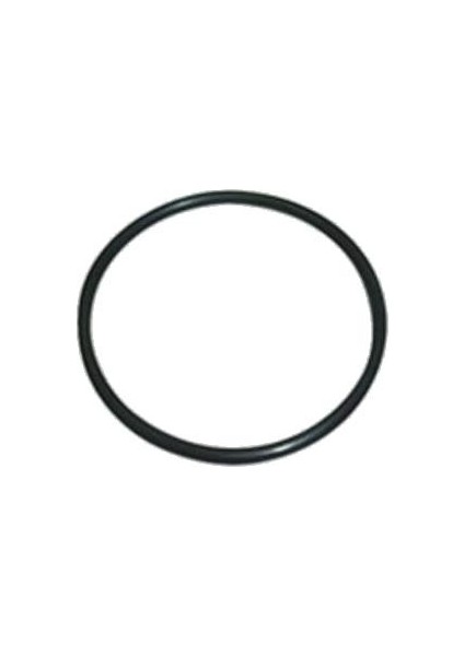 O-Ring 60,33*3,53 Termostat
