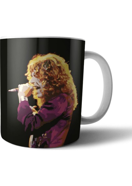 LED Zeppelin Kupa Bardak Model 3