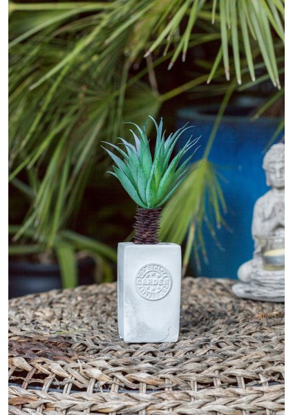 California Palm Beton Saksılı Çiçek ( Yapay Çiçek )