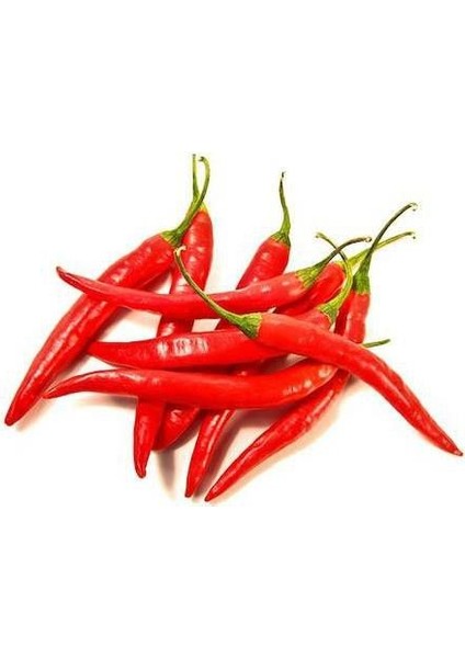 50 Adet Şili Biberi Tohumu Çok Acı Chili Biber Tohumu