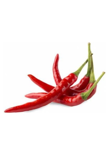 50 Adet Şili Biberi Tohumu Çok Acı Chili Biber Tohumu