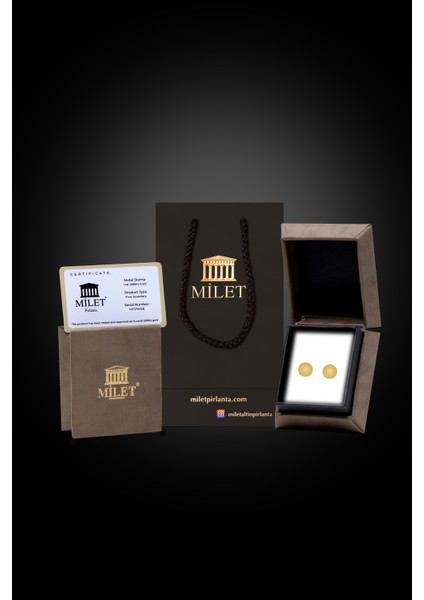 14 Ayar Sade Top Küpe indirimleri