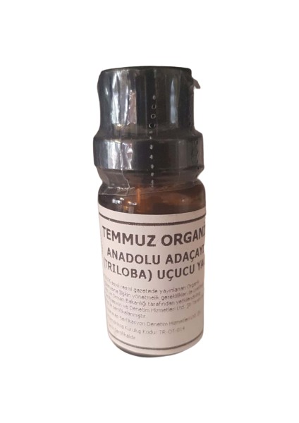 Anadolu Adaçayı (Trıloba) Uçucu Yağı 10 ml