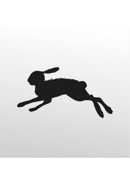 Folyo Sticker Çöl Tavşanı