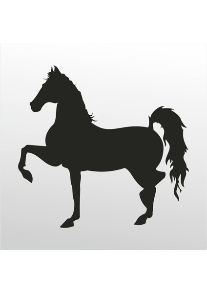 Folyo Sticker At 102