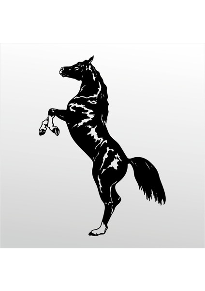 Folyo Sticker At 106