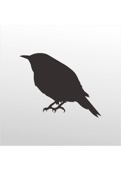 Folyo Sticker Serçe 102