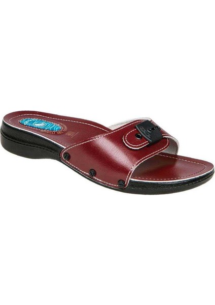 6500-1 Minelli Jelli Kadın Terlik