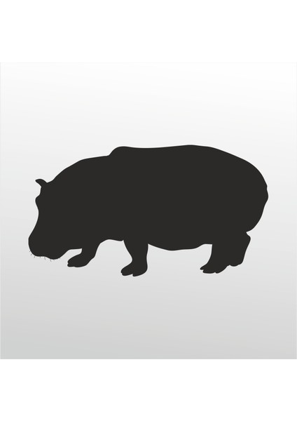 Folyo Sticker Su Aygırı