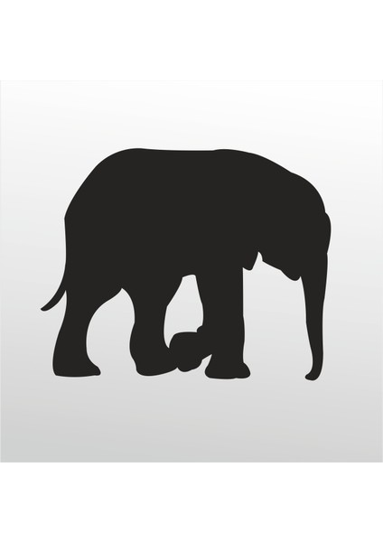 Folyo Sticker Fil 101