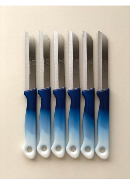 Meyve, Sebze Bıçağı