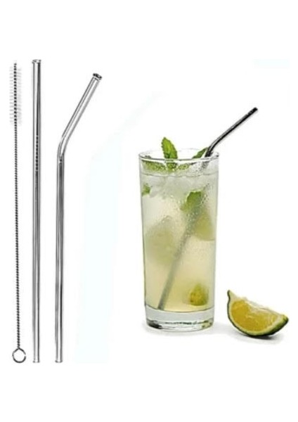 Krom 2 Li Çelik Pipet + Temizleme Fırçası Yıkanabilir Pipet