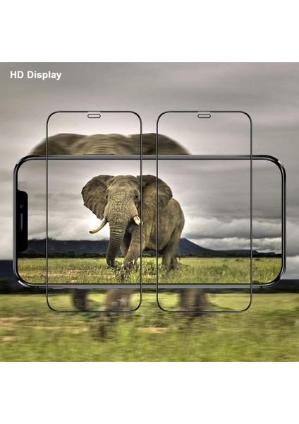 Apple iPhone 12 Pro Max Tam Kaplayan Fiber Nano Ekran Koruyucu Cam modelleri