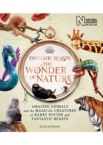 Fantastic Beasts The Wonder Of Nature