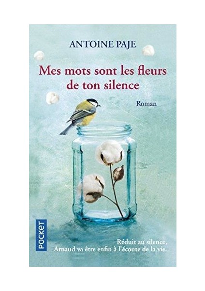 Mes Mots Sont Les Fleurs De Ton Silence - Antoine Paje