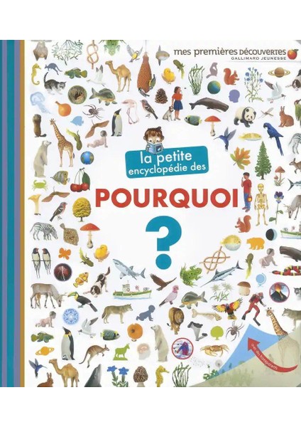 La petite encyclopédie des pourquoi ? - Sophie Lamoureux