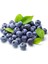 20 Adet Tohum Yaban Mersini Tohumu Blueberry Tohumu 2