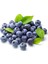 10 Adet Tohum Yaban Mersini Tohumu Blueberry Tohumu 2
