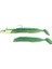 Fujın Salt Eel 10CM 12GR X2+1 Silikon Yem 4