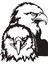Kara Kartal Beşiktaş Bjk 1903 Şahin Sticker 00630 1