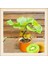 5 Adet Tohum Bodur Kivi Bonsai Ağacı Tohumu Saksı Topraklı 2