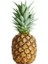 15 Adet Ananas Meyve Tohumu Ananas Tohumu Yeni 3