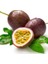 3 Adet Tohum Ithal Passiflora Meyvesi Tohumu Çarkı Felek Saat Çiçeği Tohumu 1