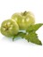 Turşuluk Yeşil Domates İznik 1 kg 1