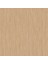 Sade Modern Desenli Duvar Kağıdı Tropicano 9910-5 1