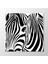 Zebra Tablo 1