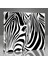 Zebra Tablo 3