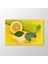 Limon Tablo 1