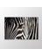 Zebra Tablo 1