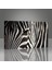 Zebra Tablo 3