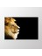 Aslan Tablo 1