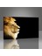Aslan Tablo 3