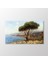 San Remo Tablo 1