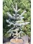Aşılı Mavi Ladin (60-80 cm) (Picea Pungens Glauca "Hoopsii") 1