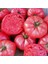 25 Adet Tohum Nadir Iri Pembe Domates Tohumu 1